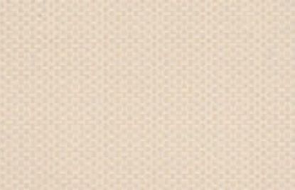 Keramične ploščice 20×50 Beige