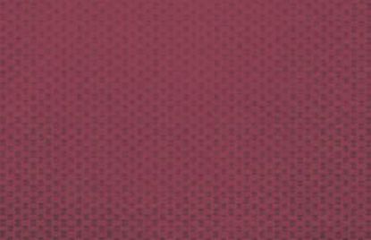 Keramične ploščice 20×50 Vino